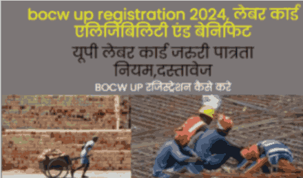 bocwup registration