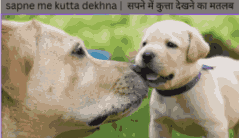 sapne me kutta dekhna