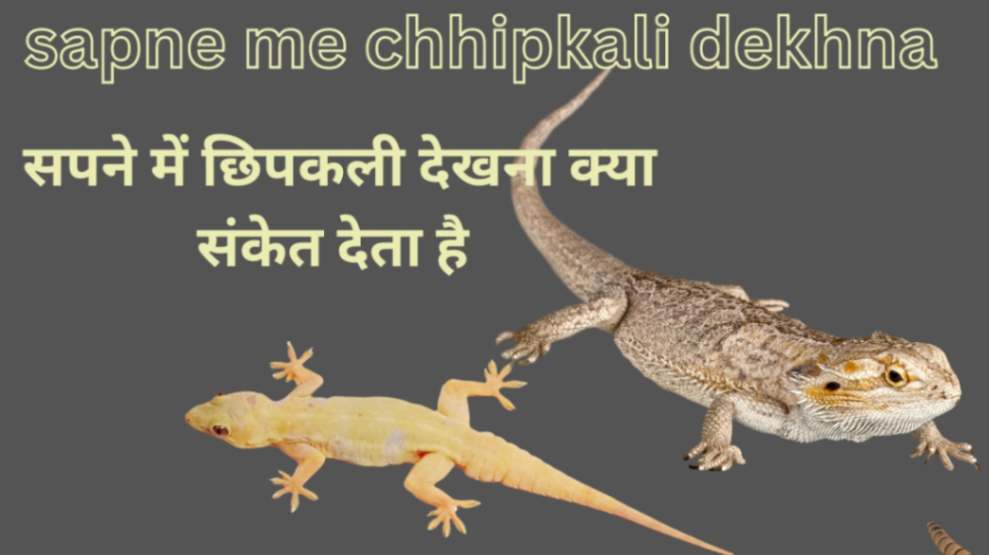 sapne me chhipkali dekhna