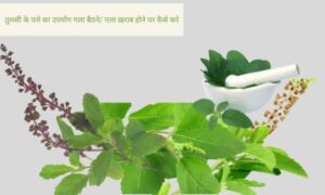 tulsi ke fayde | तुलसी पत्ते के गुण, फायदे व नुकसान