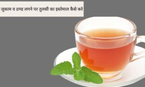 tulsi ke fayde | तुलसी पत्ते के गुण, फायदे व नुकसान