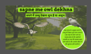 sapne me owl dekhna